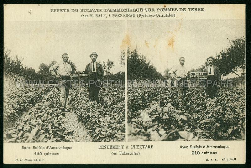 Cartes postales anciennes 12892.jpg